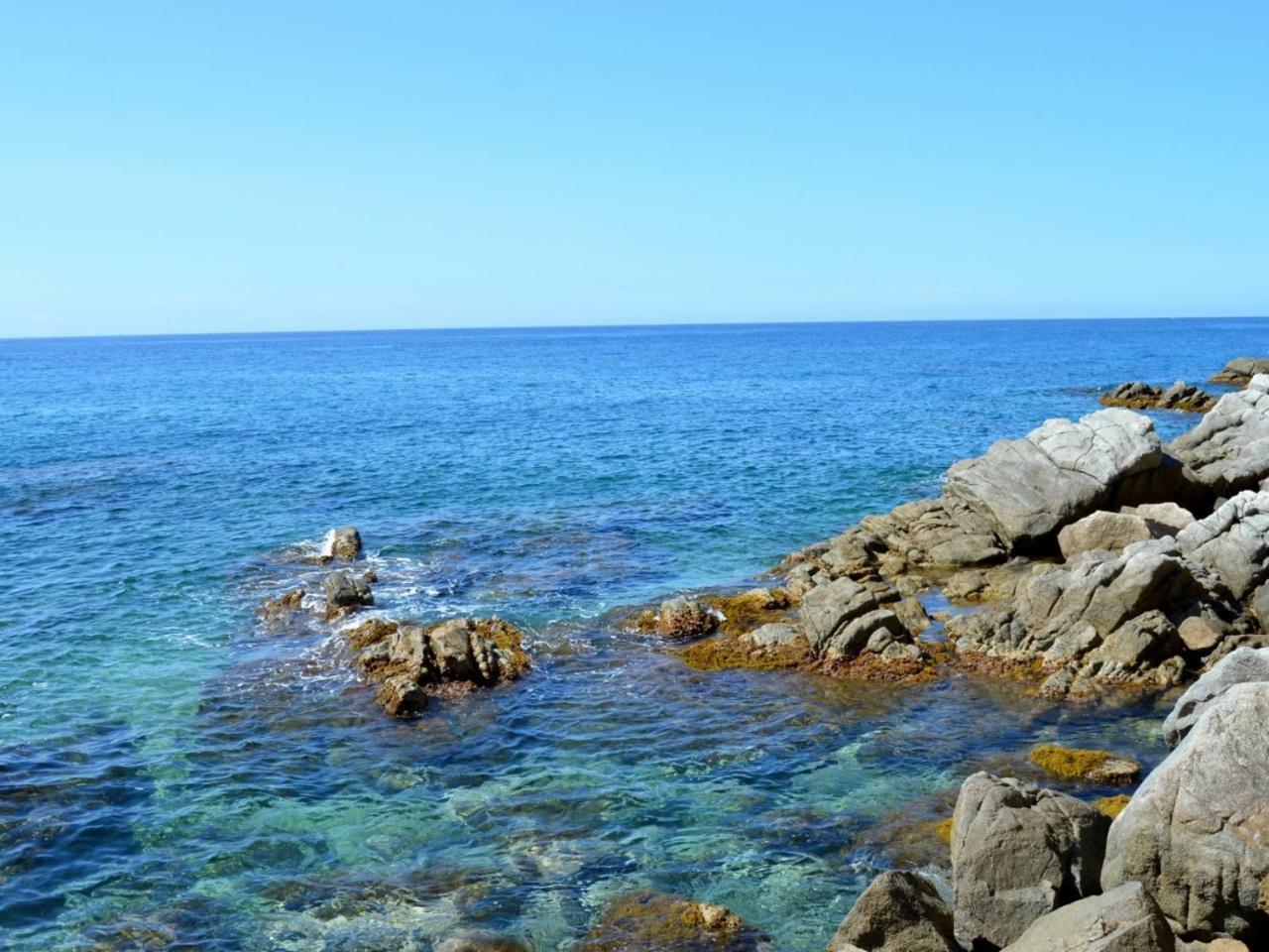 Studios Face A La Mer - Cala Llevado トッサ・デ・マール エクステリア 写真