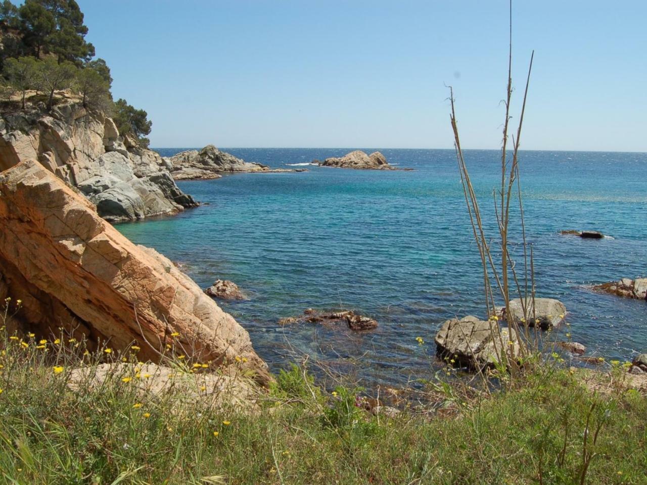 Studios Face A La Mer - Cala Llevado トッサ・デ・マール エクステリア 写真
